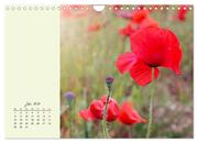 Duftiger Blumentraum und eleganter Blütenzauber! (Wandkalender 2024 DIN A4 quer), CALVENDO Monatskalender - Abbildung 9