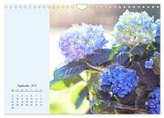 Duftiger Blumentraum und eleganter Blütenzauber! (Wandkalender 2024 DIN A4 quer), CALVENDO Monatskalender - Abbildung 11