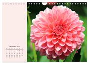 Duftiger Blumentraum und eleganter Blütenzauber! (Wandkalender 2024 DIN A4 quer), CALVENDO Monatskalender - Abbildung 13