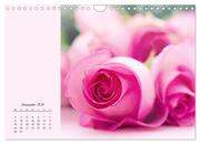 Duftiger Blumentraum und eleganter Blütenzauber! (Wandkalender 2024 DIN A4 quer), CALVENDO Monatskalender - Abbildung 14