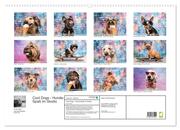 Cool Dogs - Hunde-Spaß im Studio (Wandkalender 2024 DIN A2 quer), CALVENDO Monatskalender - Abbildung 1
