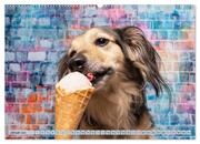 Cool Dogs - Hunde-Spaß im Studio (Wandkalender 2024 DIN A2 quer), CALVENDO Monatskalender - Abbildung 3