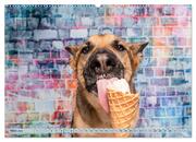 Cool Dogs - Hunde-Spaß im Studio (Wandkalender 2024 DIN A2 quer), CALVENDO Monatskalender - Abbildung 5