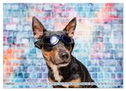 Cool Dogs - Hunde-Spaß im Studio (Wandkalender 2024 DIN A2 quer), CALVENDO Monatskalender - Abbildung 6