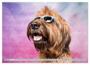 Cool Dogs - Hunde-Spaß im Studio (Wandkalender 2024 DIN A2 quer), CALVENDO Monatskalender - Abbildung 7