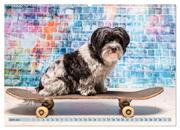 Cool Dogs - Hunde-Spaß im Studio (Wandkalender 2024 DIN A2 quer), CALVENDO Monatskalender - Abbildung 8