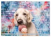 Cool Dogs - Hunde-Spaß im Studio (Wandkalender 2024 DIN A2 quer), CALVENDO Monatskalender - Abbildung 9