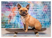 Cool Dogs - Hunde-Spaß im Studio (Wandkalender 2024 DIN A2 quer), CALVENDO Monatskalender - Abbildung 10