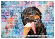 Cool Dogs - Hunde-Spaß im Studio (Wandkalender 2024 DIN A2 quer), CALVENDO Monatskalender - Abbildung 12