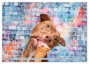 Cool Dogs - Hunde-Spaß im Studio (Wandkalender 2024 DIN A2 quer), CALVENDO Monatskalender - Abbildung 13