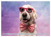 Cool Dogs - Hunde-Spaß im Studio (Wandkalender 2024 DIN A2 quer), CALVENDO Monatskalender - Abbildung 14