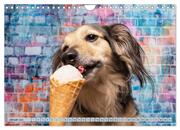 Cool Dogs - Hunde-Spaß im Studio (Wandkalender 2024 DIN A4 quer), CALVENDO Monatskalender - Abbildung 3