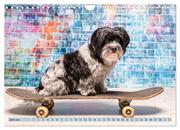 Cool Dogs - Hunde-Spaß im Studio (Wandkalender 2024 DIN A4 quer), CALVENDO Monatskalender - Abbildung 8