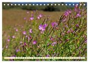 Feld- und Wiesenblüher Schützenswerte Natur (Tischkalender 2024 DIN A5 quer), CALVENDO Monatskalender - Abbildung 5