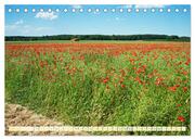 Feld- und Wiesenblüher Schützenswerte Natur (Tischkalender 2024 DIN A5 quer), CALVENDO Monatskalender - Abbildung 7
