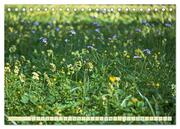 Feld- und Wiesenblüher Schützenswerte Natur (Tischkalender 2024 DIN A5 quer), CALVENDO Monatskalender - Abbildung 10