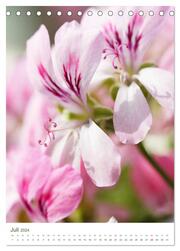 Frühsommer Blütenschätze (Tischkalender 2024 DIN A5 hoch), CALVENDO Monatskalender - Abbildung 9