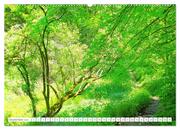 Die Geretsrieder Isarauen - Auwald und Isar im Naturschutzgebiet (hochwertiger Premium Wandkalender 2024 DIN A2 quer), Kunstdruck in Hochglanz - Abbildung 10
