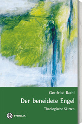 Der beneidete Engel - Cover
