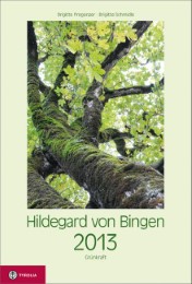 Hildegard von Bingen 2013
