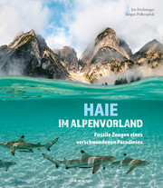 Haie im Alpenvorland