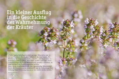 Südtiroler Kräuterfrauen - Abbildung 1