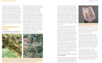Handbuch Pflanzenschutz im Biogarten - Abbildung 2