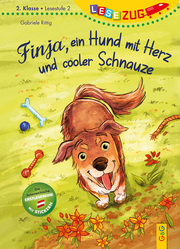 Finja, ein Hund mit Herz und cooler Schnauze