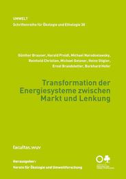 Transformation der Energiesysteme zwischen Markt und Lenkung