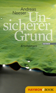 Unsicherer Grund - Cover