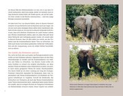 Elefanten - Illustrationen 7