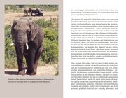 Elefanten - Abbildung 8