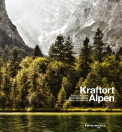 Kraftort Alpen