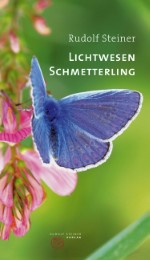 Lichtwesen Schmetterling - Cover