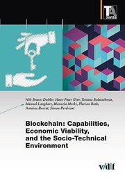 Blockchain: Capabilities, Economic Viability, and the Socio-Technical Environment