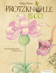 Protzknolle & Co.