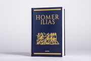 Homer, Ilias - Abbildung 3