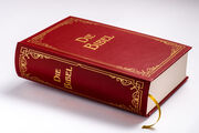 Die Bibel (Geschenkausgabe, Cabra-Leder) - Abbildung 1