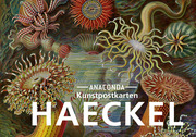 Postkarten-Set Ernst Haeckel - Cover