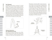 Bushcraft Essentials. Überleben in der Wildnis. Das Grundlagenbuch - Abbildung 1