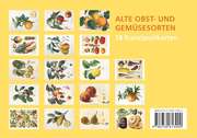 Postkarten-Set Alte Obst- und Gemüsesorten - Abbildung 1