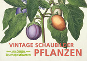 Postkarten-Set Vintage-Schaubilder Pflanzen