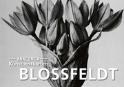 Postkarten-Set Blossfeldt
