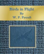 Birds in Flight - Cover