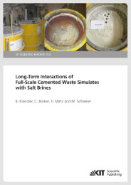 Long-Term Interactions of Full-Scale Cemented Waste Simulates with Salt Brines - Cover