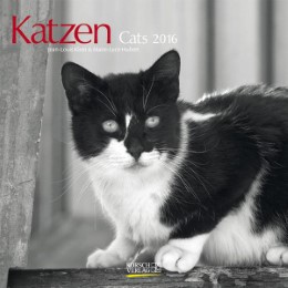 Katzen 2016 - Cover