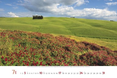 Toscana 2016 - Abbildung 8