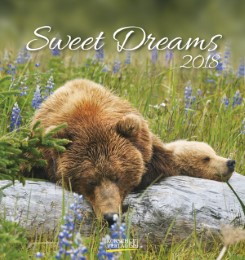 Sweet Dreams 2018 - Cover