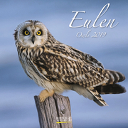 Eulen 2019 - Cover