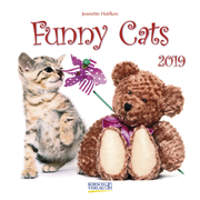 Funny Cats 2019